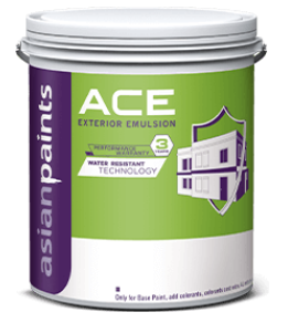 Asian Paints product P11