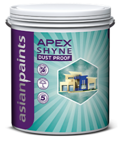 Asian Paints product P12